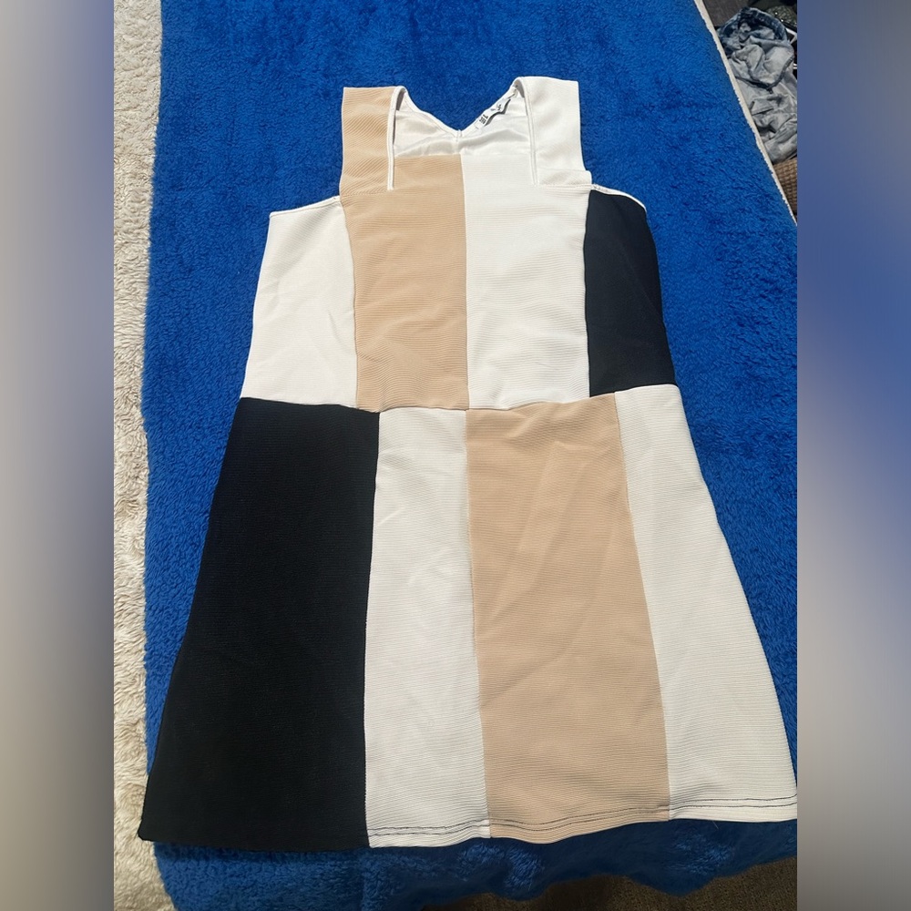 Christy and Co. 60’s Color Block Dress (Size 2)